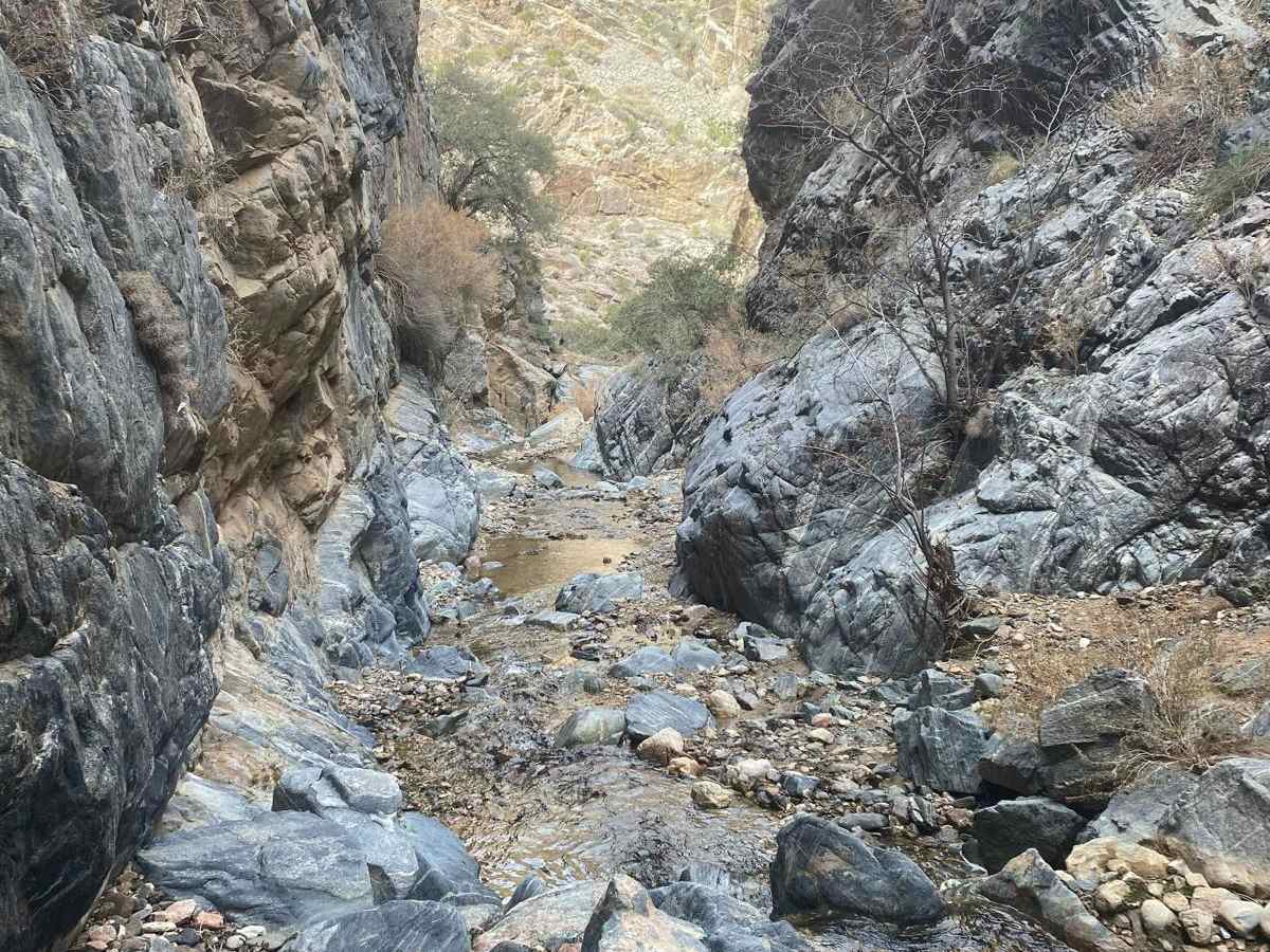 Nickel Falls photo 5