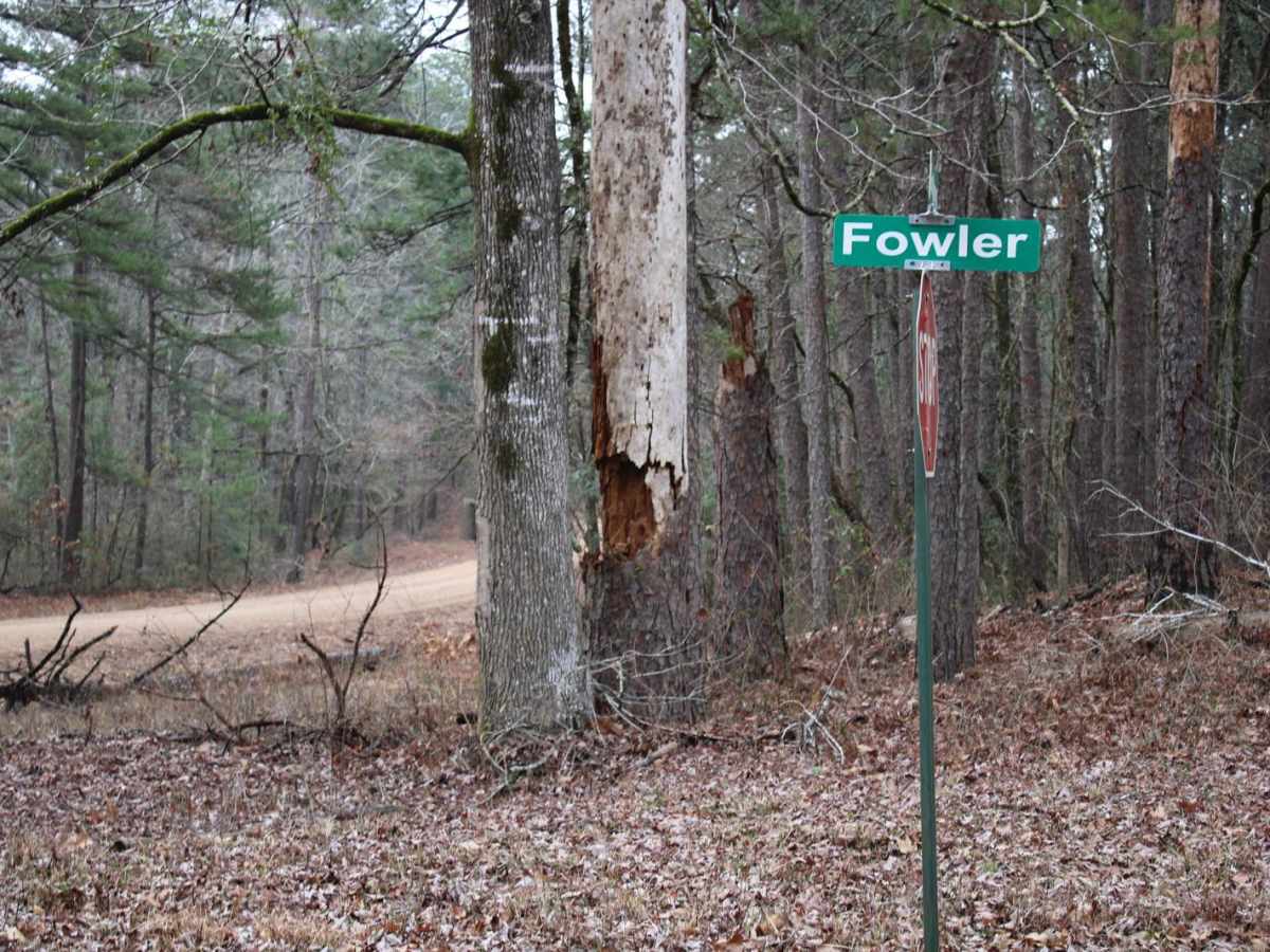 Gum Springs and Fowler photo 3