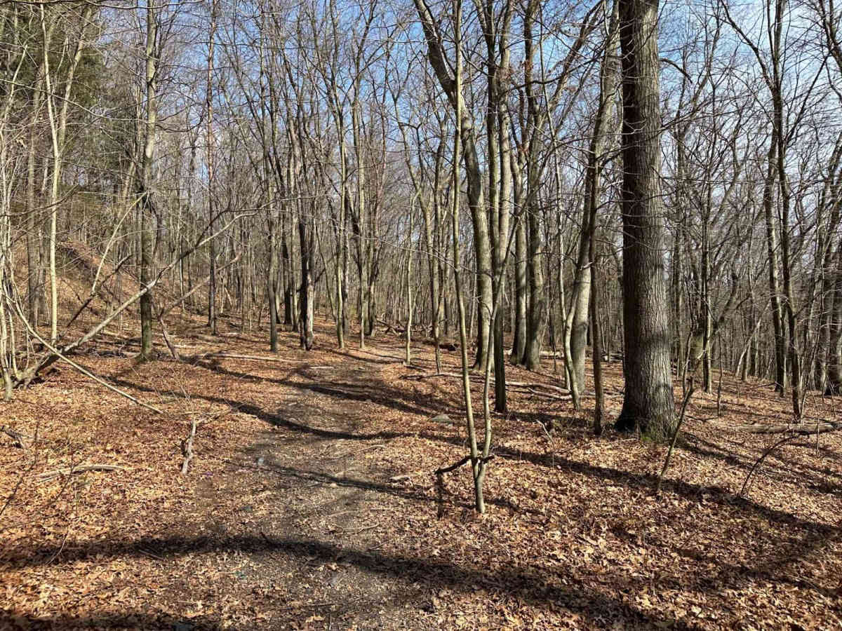 Ashland 98 photo 2