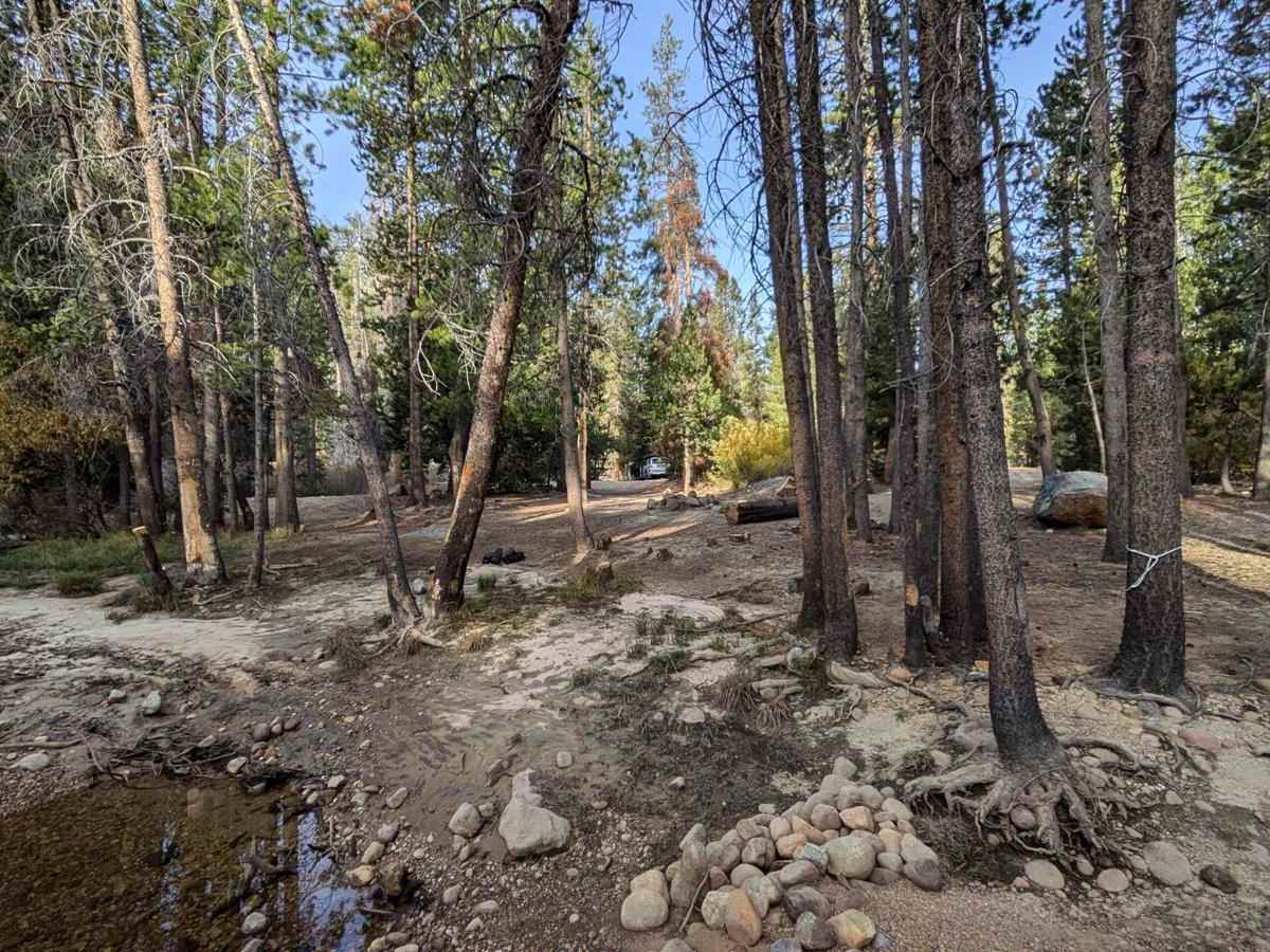 Mono Creek Gauge trail photo