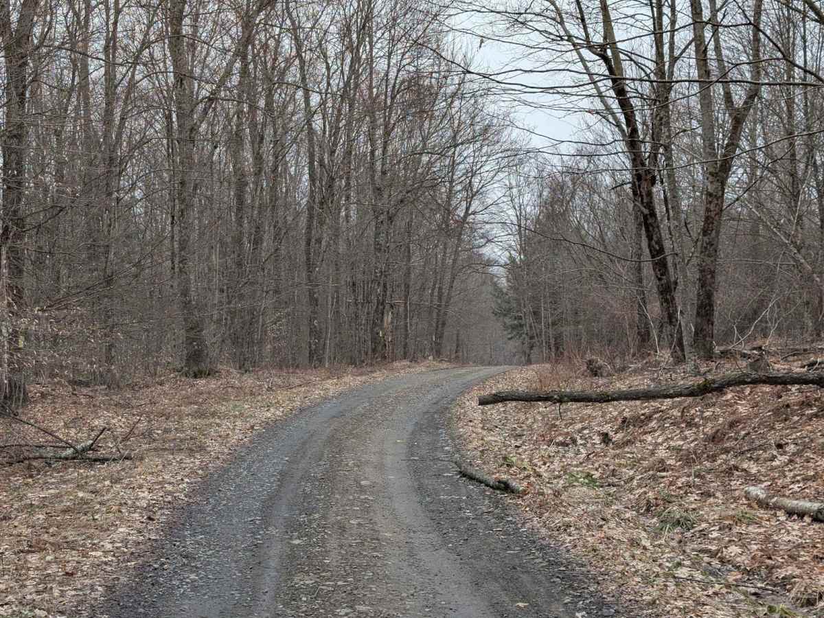 Slocum Hill Road photo 4