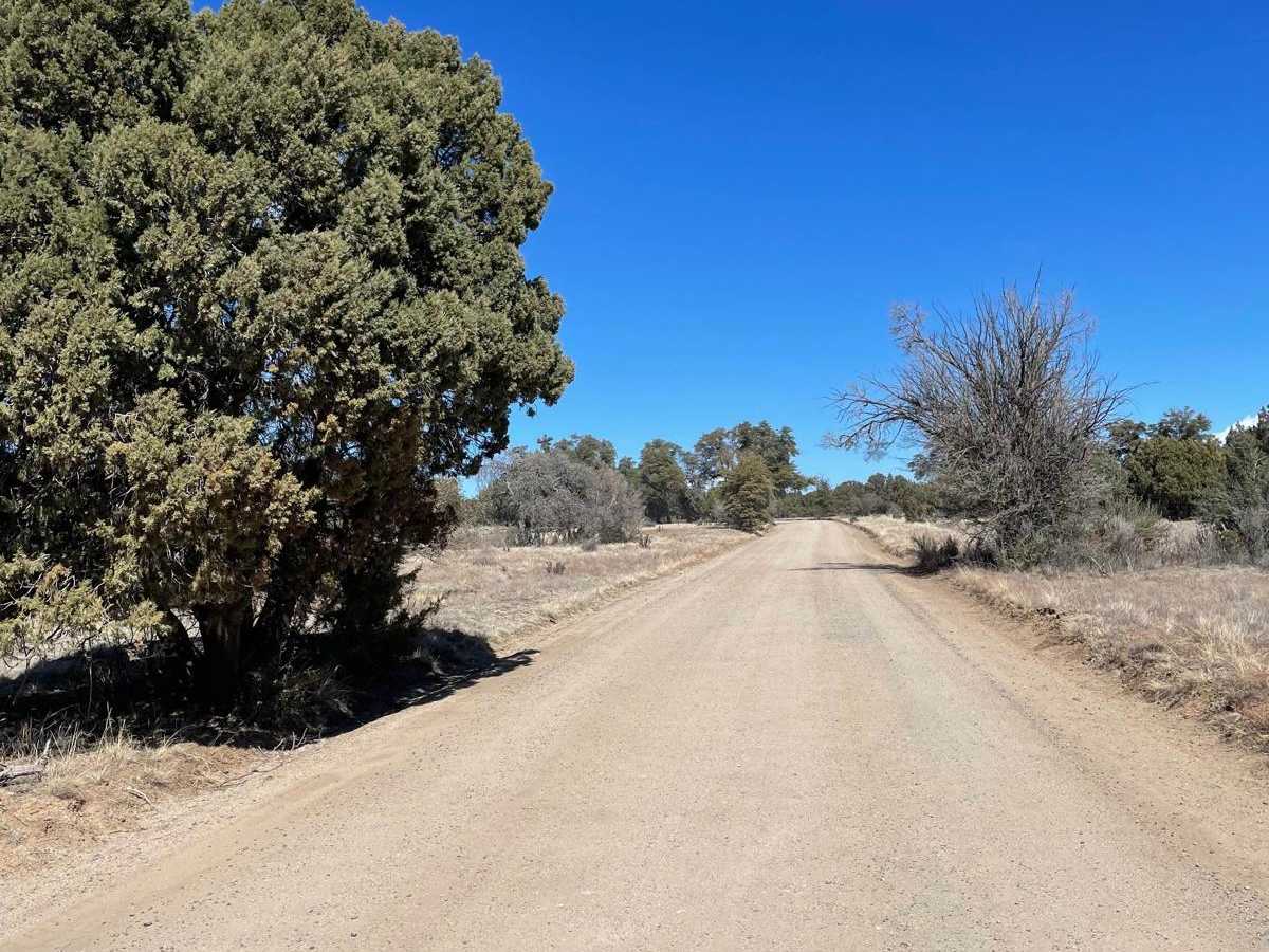 Tonto Road photo 6