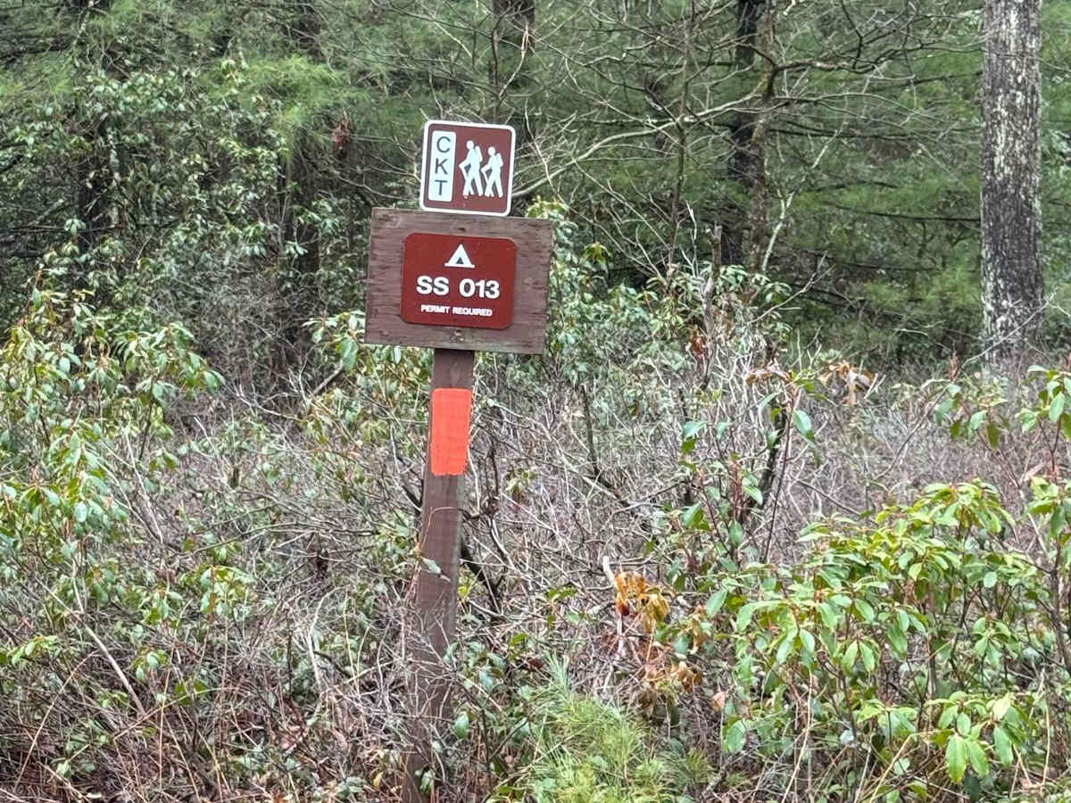 Fisher Fire Road photo 6