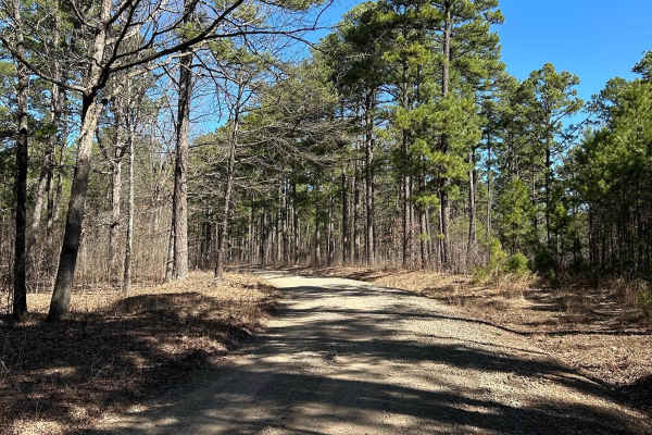 Woods Mountain Road