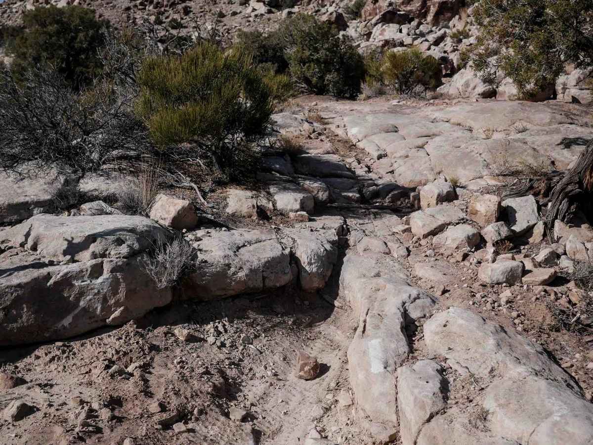 Rocky Bluff photo 5