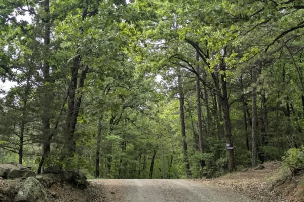 Lloyd Road