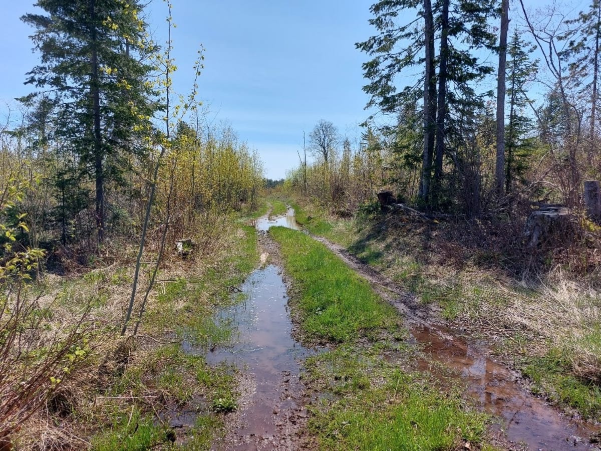 Schlatter Lake photo 2