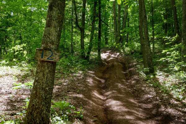 Trail 12