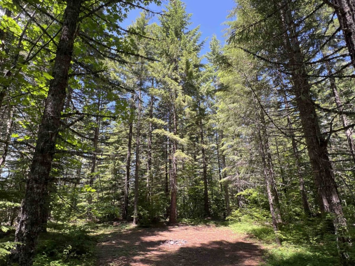 Oak Grove/Timothy Lake photo 6