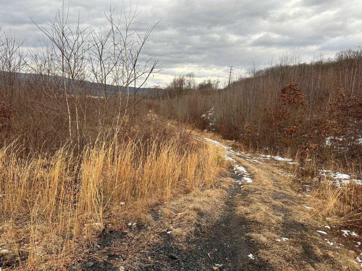 Ashland 181 trail photo