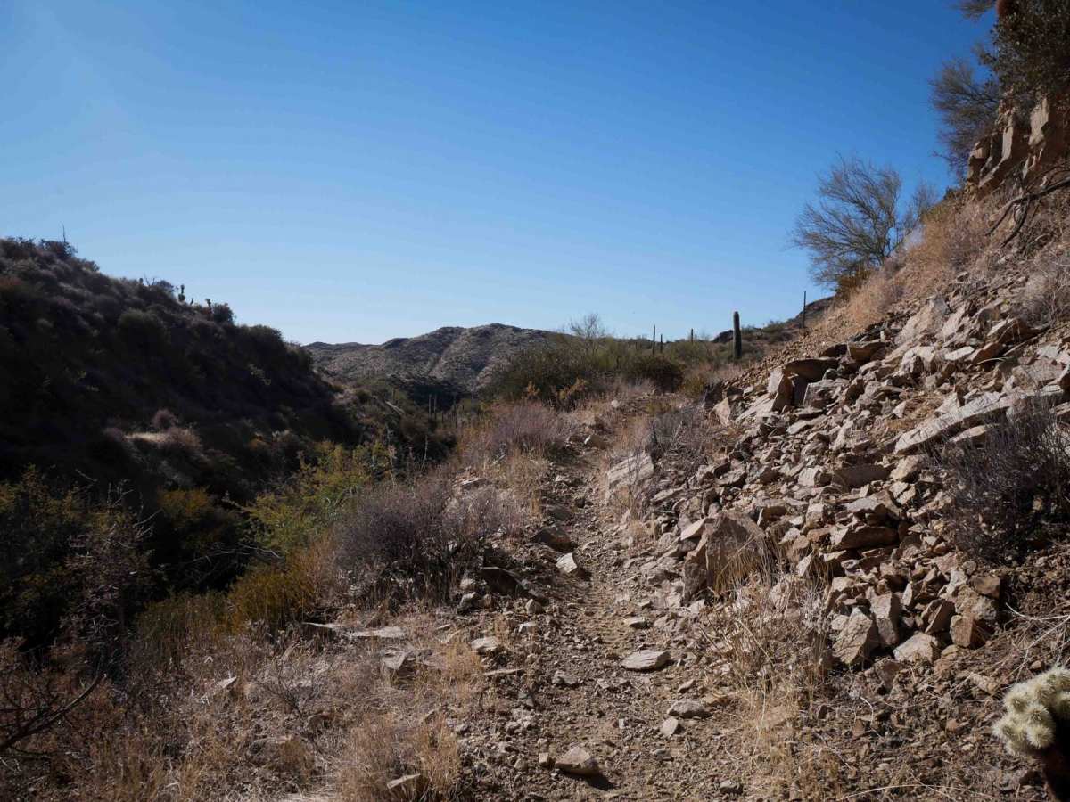 Desert Singletrack photo 4