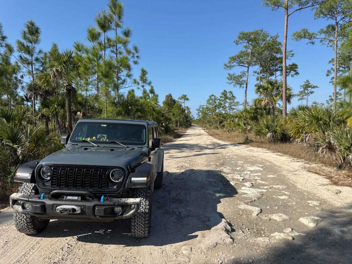 East Sabal Palm Road photo 6