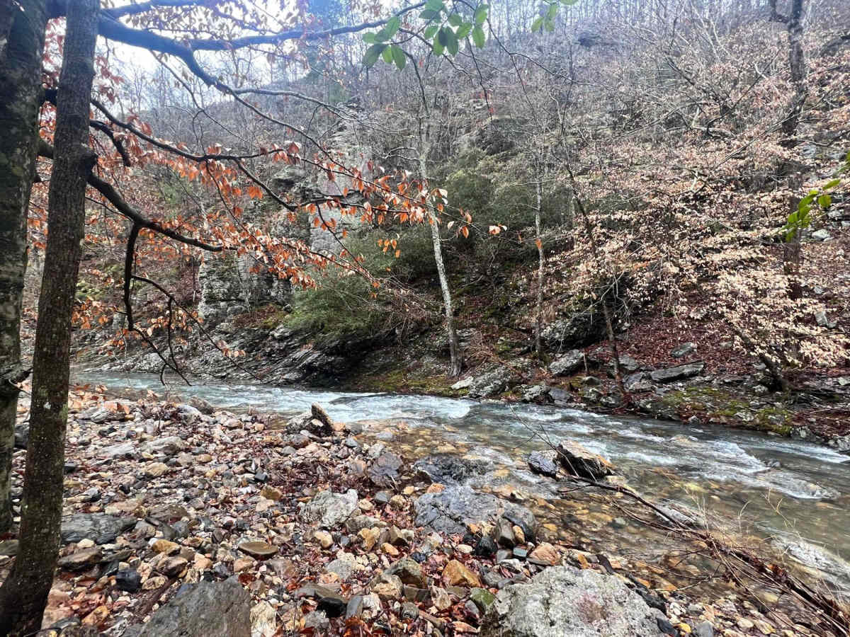 Sugar Creek photo 3