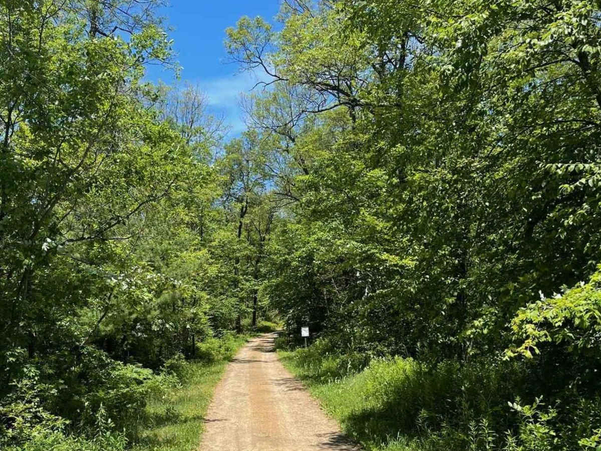 Cranberry Road photo 4
