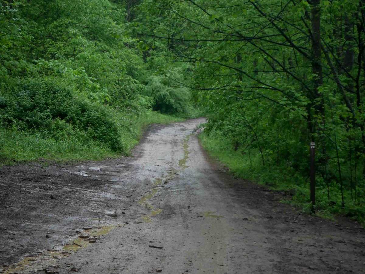BM 20 trail photo