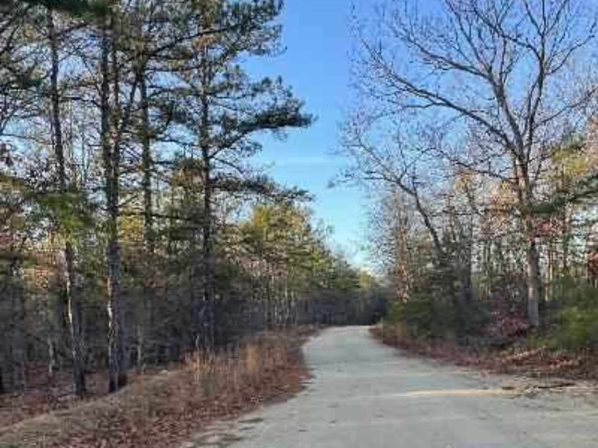 Make Peace Lake Road photo 4
