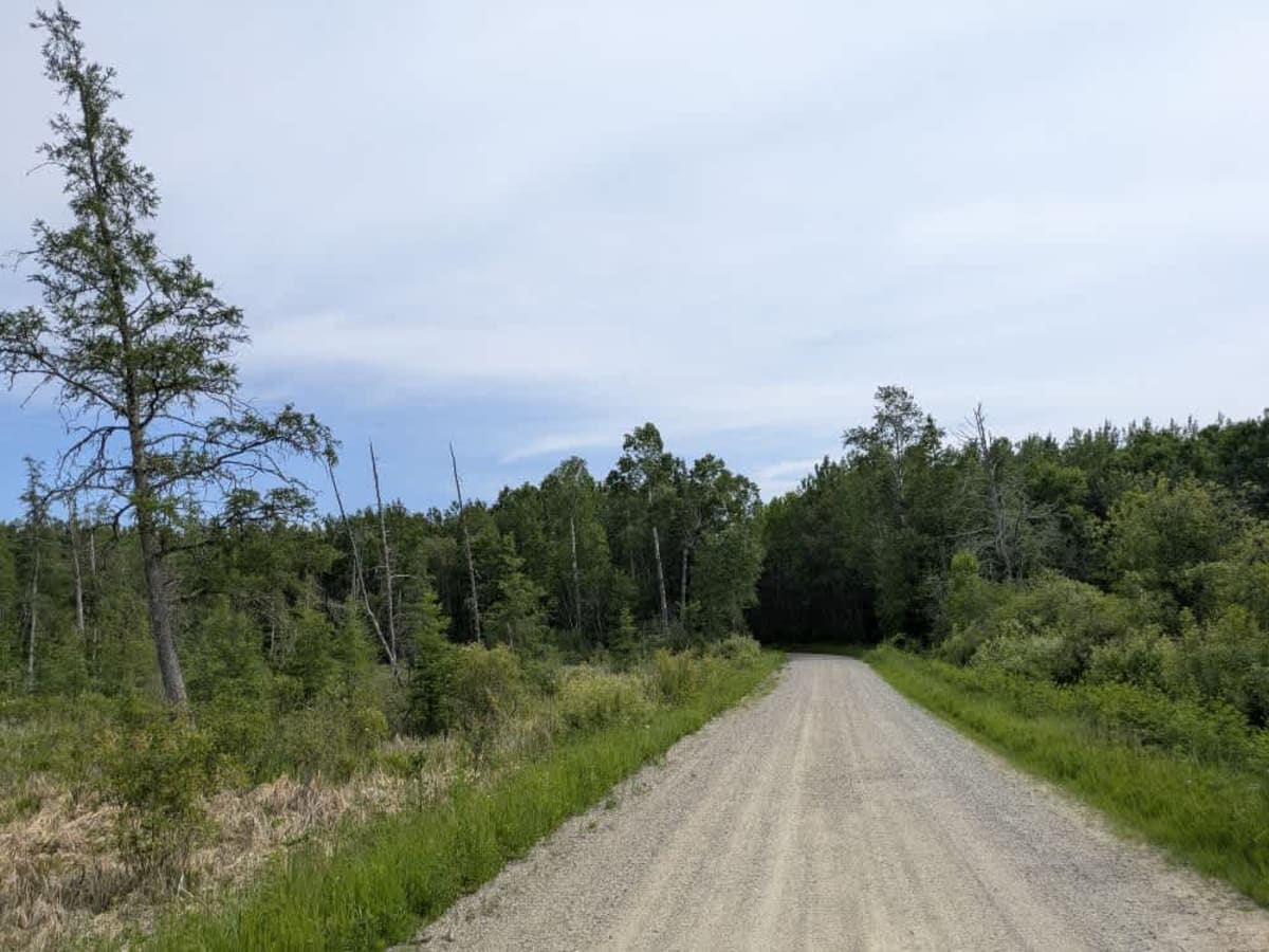 2171 trail photo