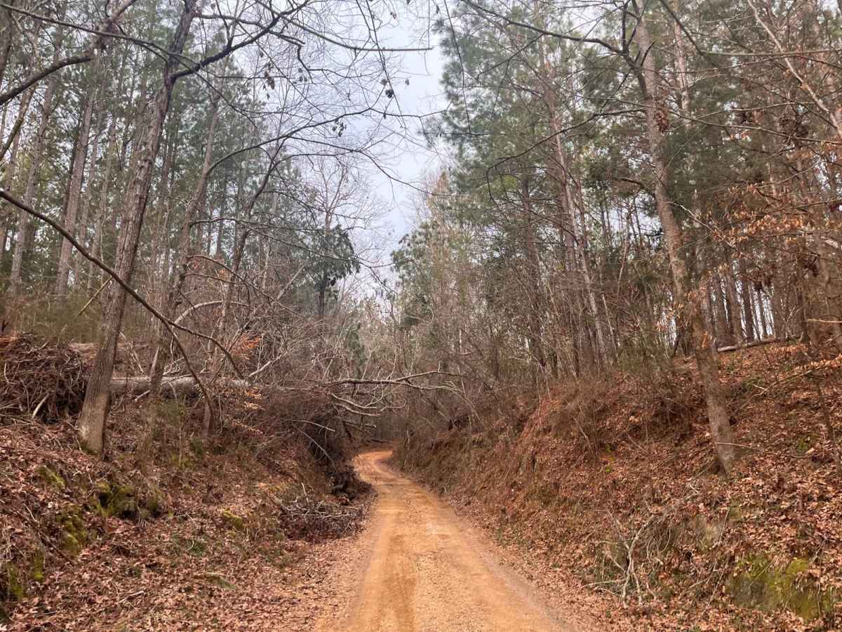 Ephrian Road photo 5