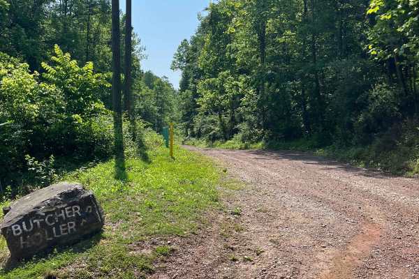 Trail 7