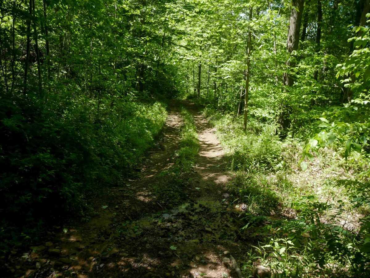 RV25 photo 6