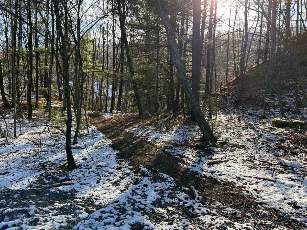 Locust Gap Single Track 4 Part 2 photo 2