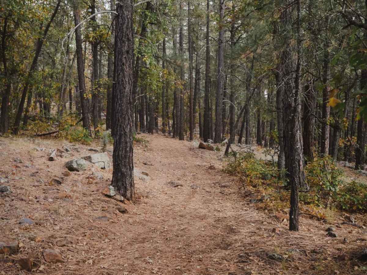 Munds Canyon photo 5