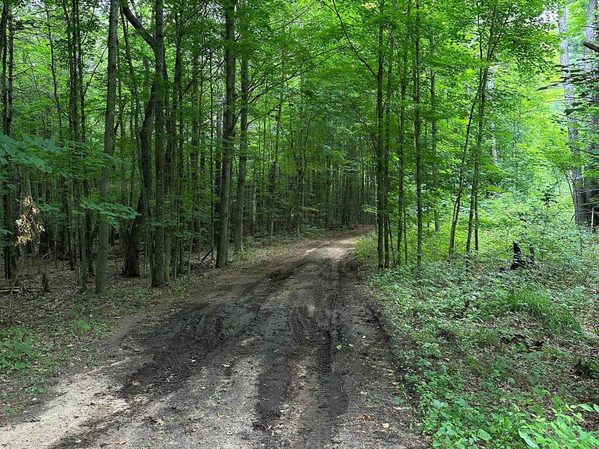 Spear Road/48062 photo 5