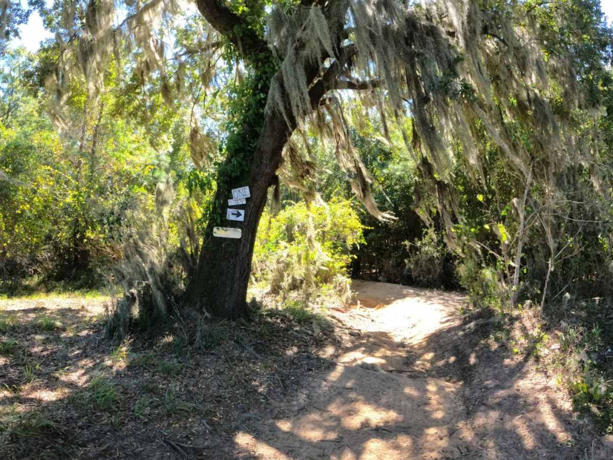 Tranquility Trail trail photo