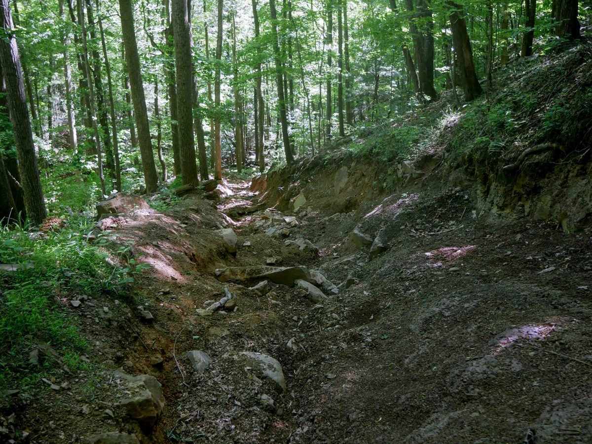 Trail 10 photo 4