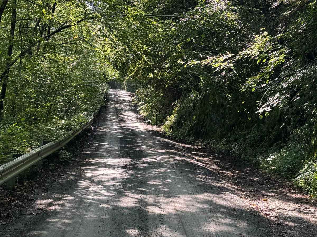 River Road photo 3