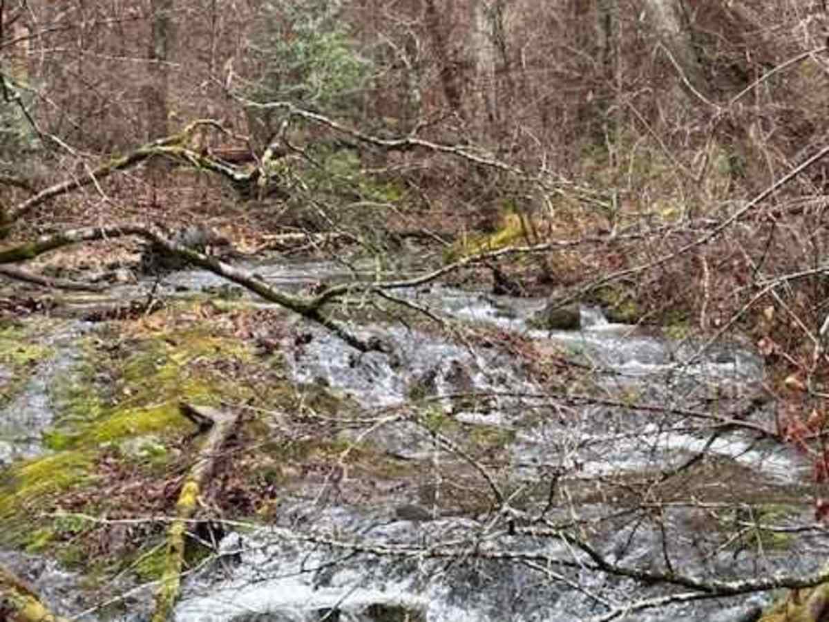 Powell's Gap photo 4