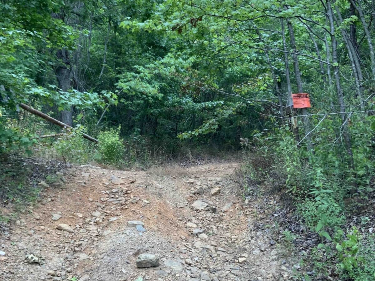 Deer Trap - 1776 photo 6