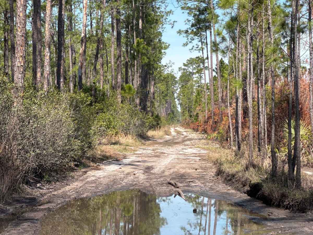 East River Road - ONF 74 photo 4