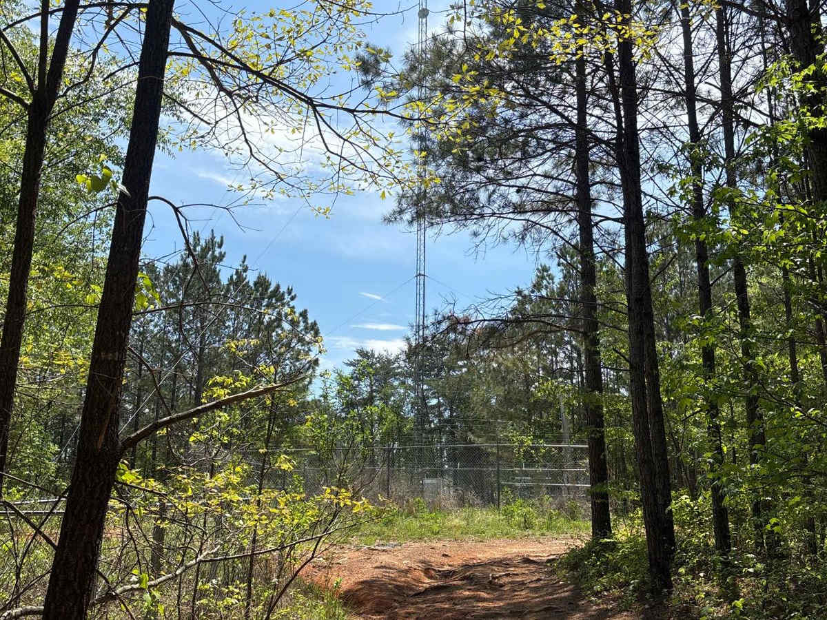 Cell Tower Road photo 4