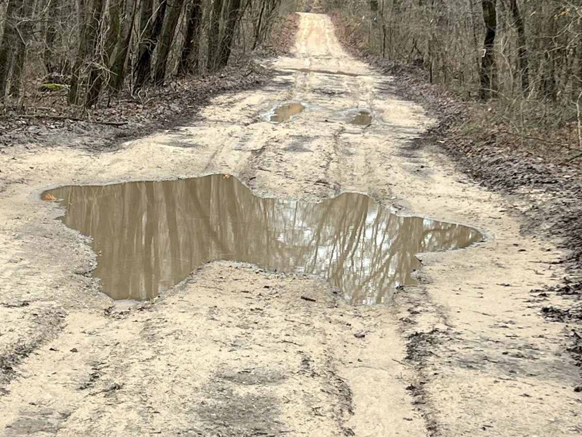Straight Shot Trail (130th Avenue) photo 3