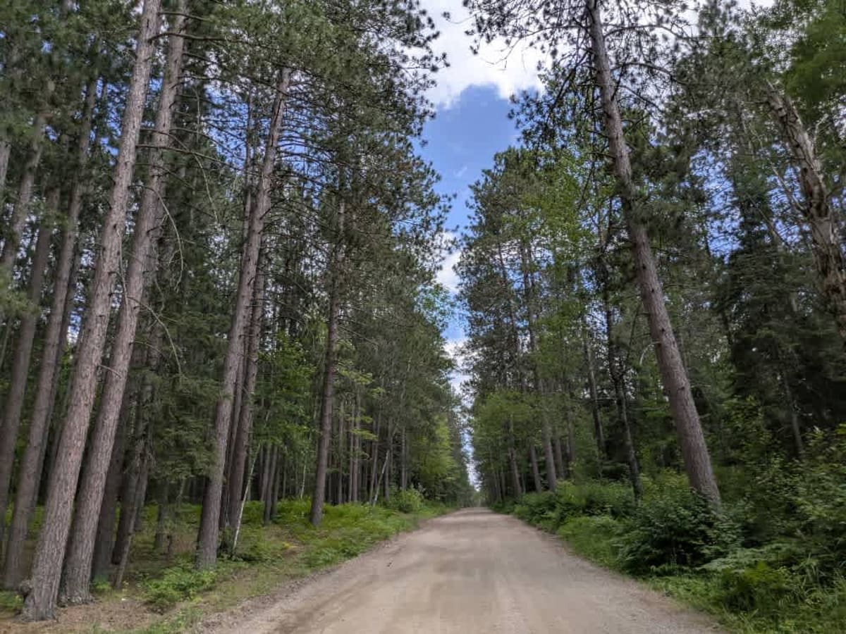 Hannula Road photo 2