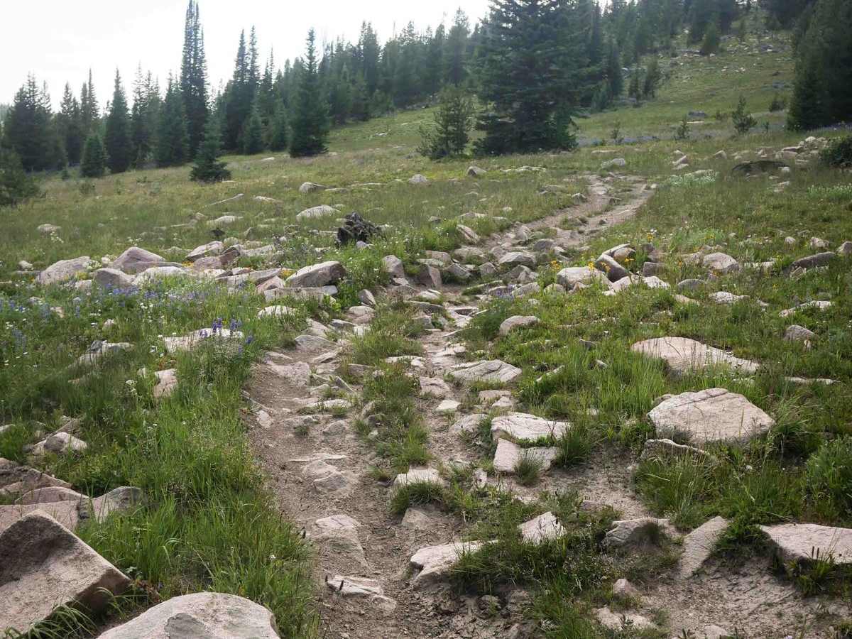 Hare Trail photo 2
