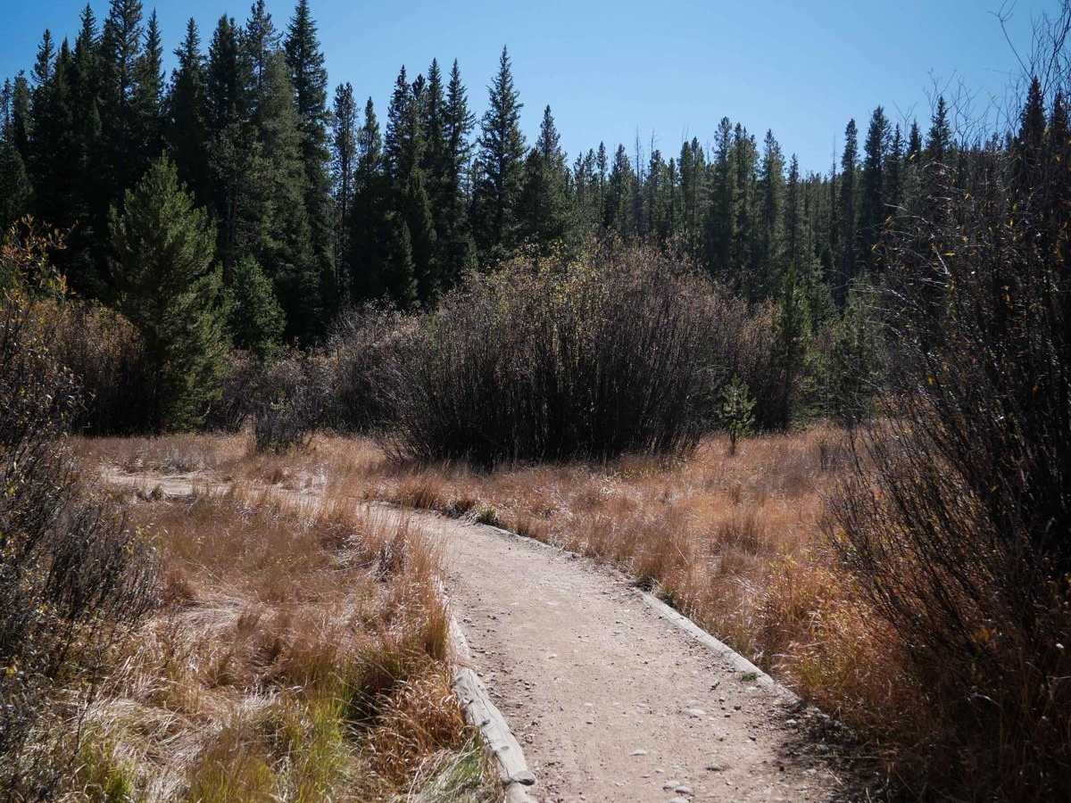 Elk Meadow ATV trail photo