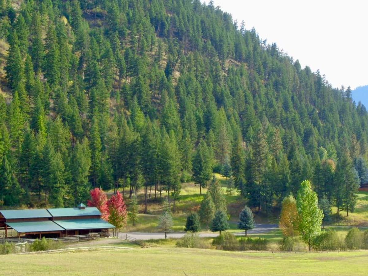 Nemote Creek to Stark Lookout photo 5