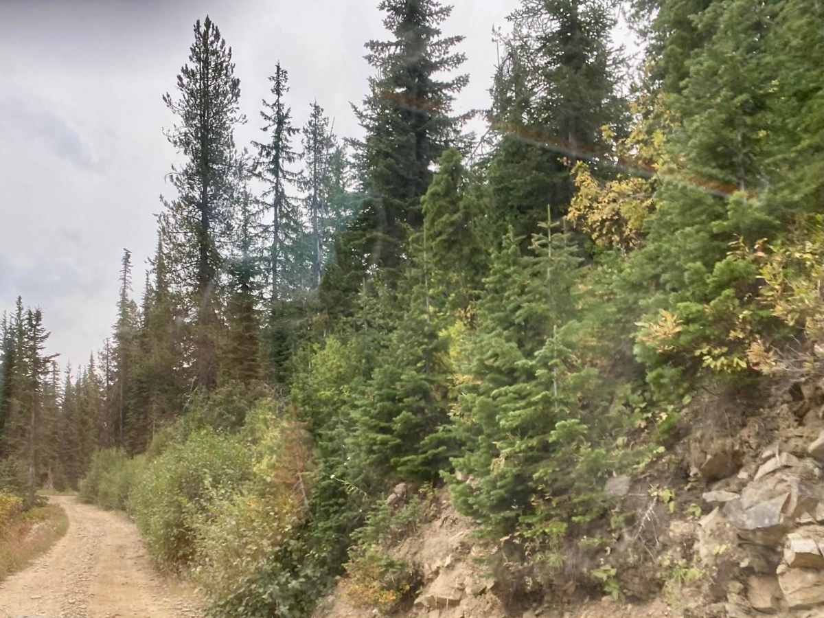 Dry Creek-Cliff Creek photo 6