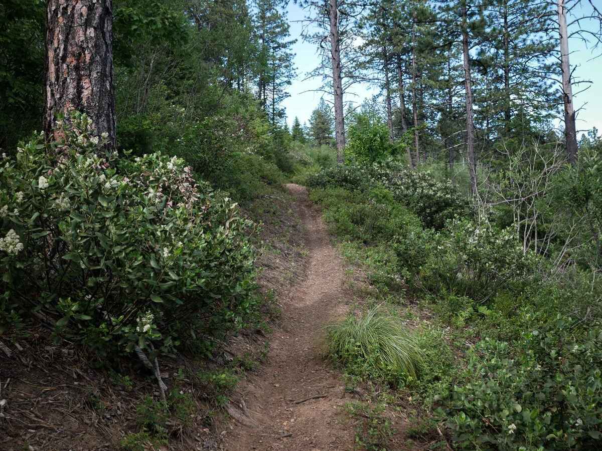 Ames Ridge NRT photo 4