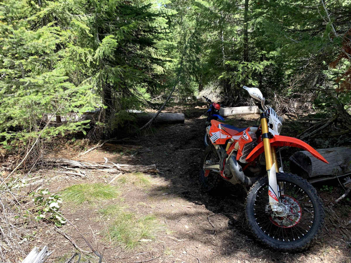 North Fork Deer Creek photo 4