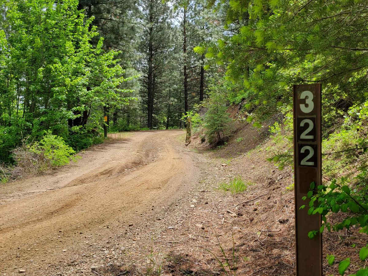 FR 322 - Wolf/Monroe Creek trail photo
