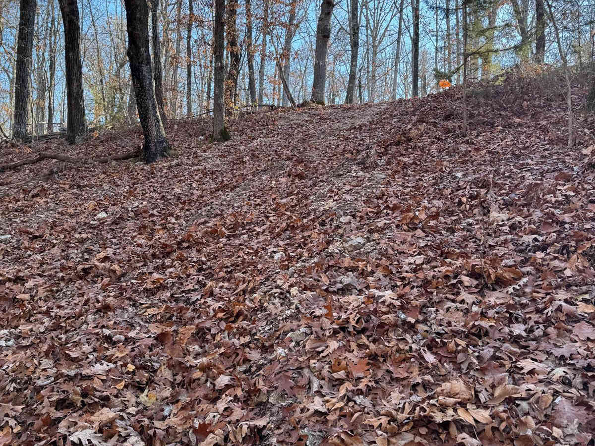 Yellow 215 trail photo