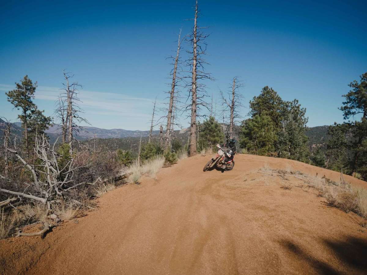 677 Log Jumper ATV Trail photo 3