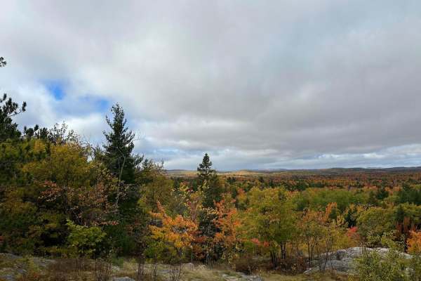 Harlow Lake Road Trail