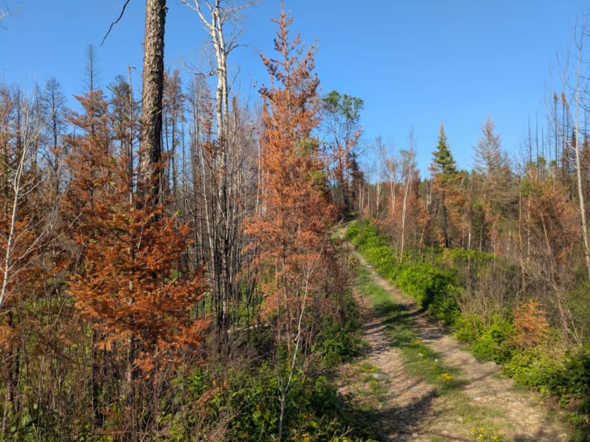 Murphy Lake photo 2