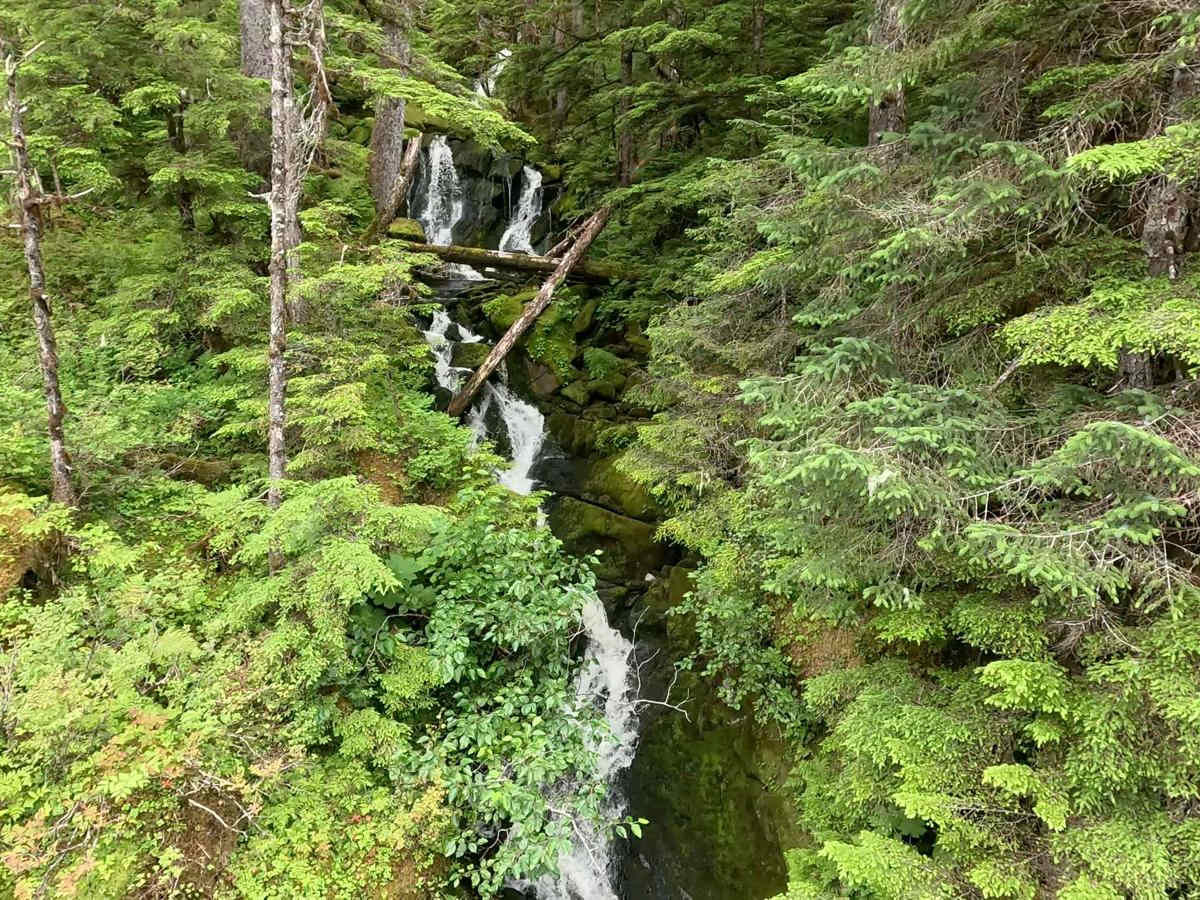 Fools Inlet - 6270 photo 3