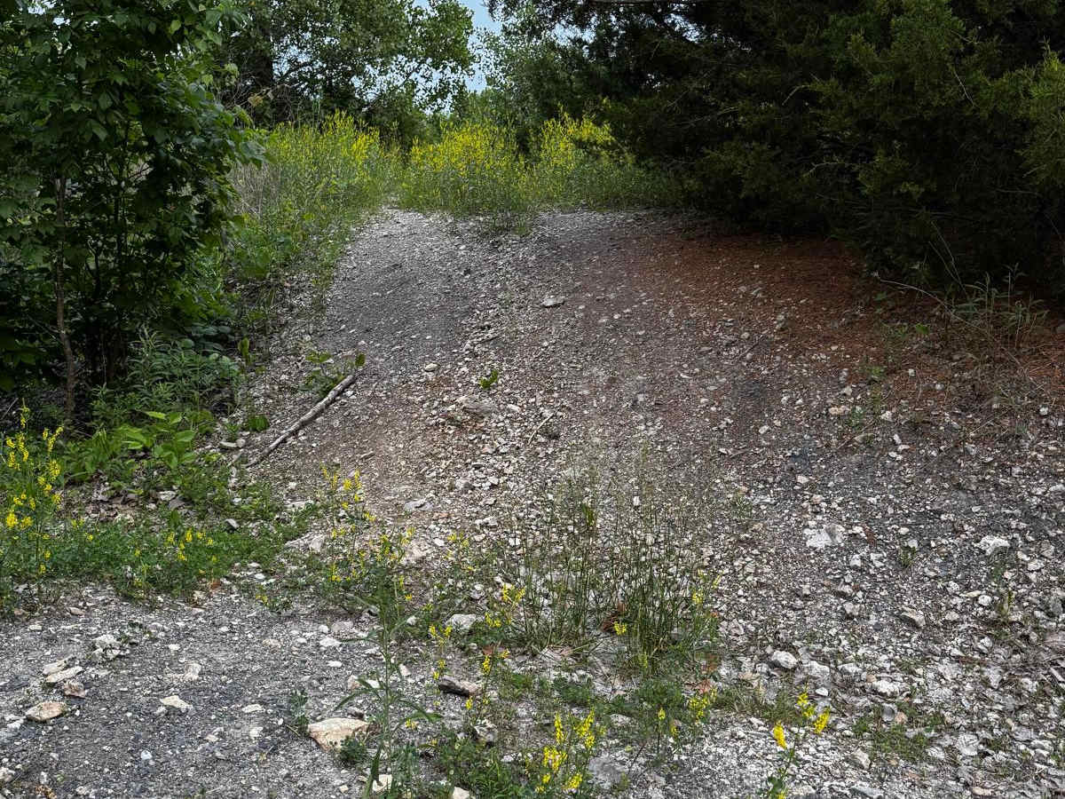 Green 48 trail photo