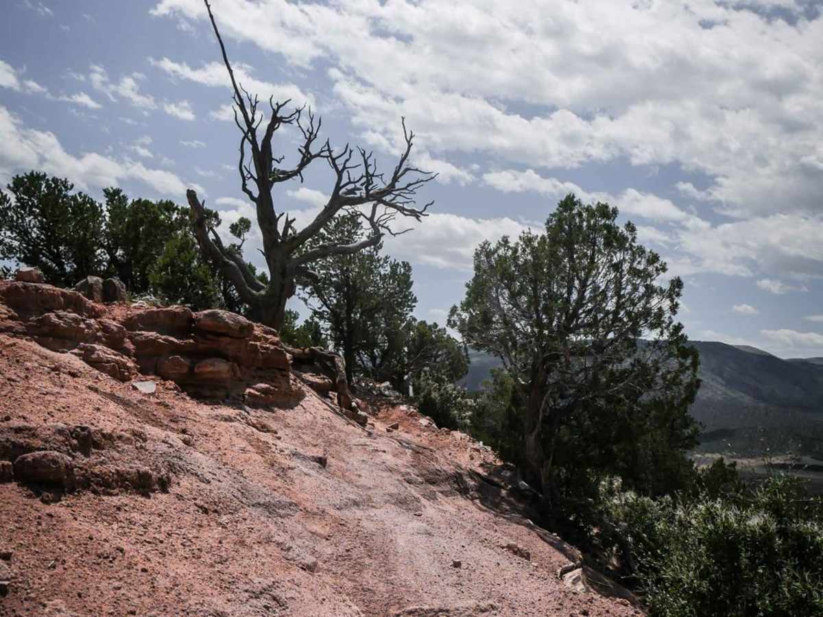 BLM 8600F trail photo